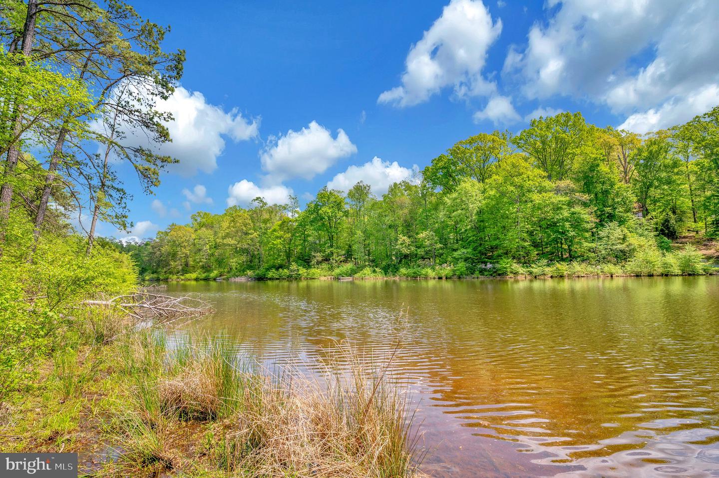 LOT 117 COLFAX DR, KING GEORGE, Virginia 22485, 4 Bedrooms Bedrooms, ,2 BathroomsBathrooms,Residential,For sale,LOT 117 COLFAX DR,VAKG2006280 MLS # VAKG2006280