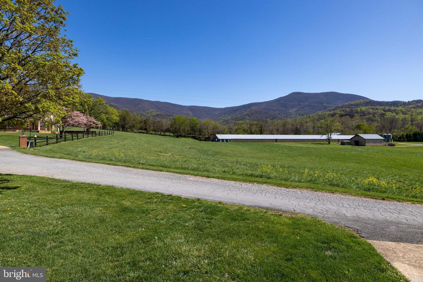 407 & 411 KITE HOLLOW RD, STANLEY, Virginia 22851, 5 Bedrooms Bedrooms, ,3 BathroomsBathrooms,Residential,For sale,407 & 411 KITE HOLLOW RD,VAPA2004644 MLS # VAPA2004644