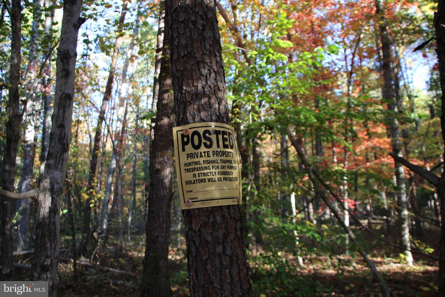 MIDDLE OF NO WAY LN, CASTLETON, Virginia 22716, ,Land,For sale,MIDDLE OF NO WAY LN,VARP2001838 MLS # VARP2001838