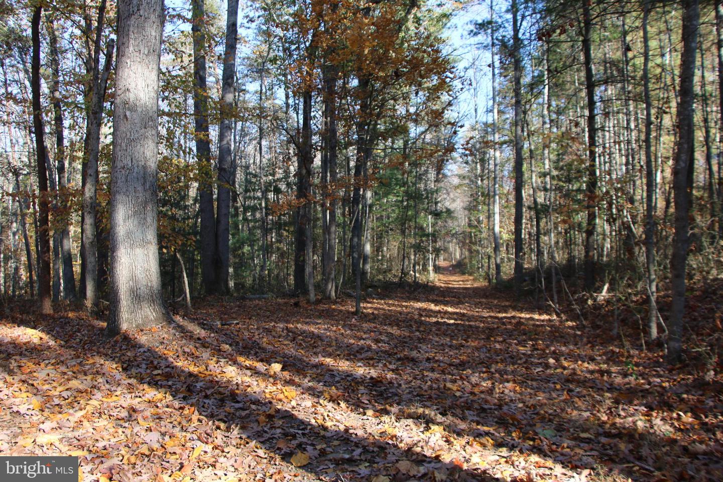 MIDDLE OF NO WAY LN, CASTLETON, Virginia 22716, ,Land,For sale,MIDDLE OF NO WAY LN,VARP2001838 MLS # VARP2001838