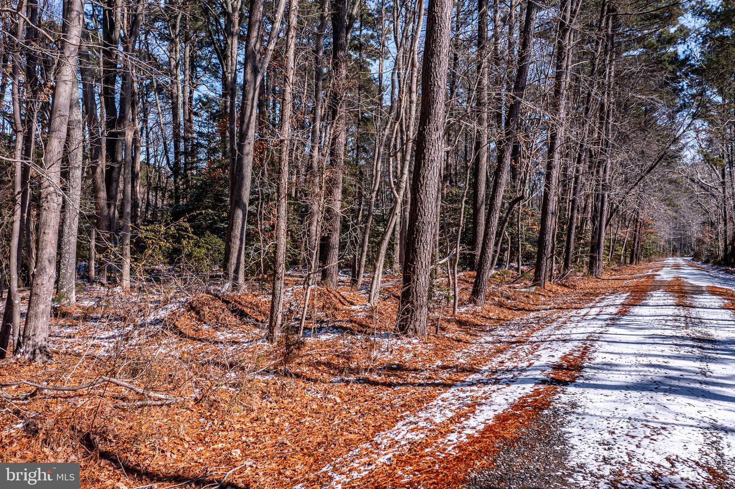 0 GEORGES COVE DR, WHITE STONE, Virginia 22578, ,Land,For sale,0 GEORGES COVE DR,VALV2000656 MLS # VALV2000656