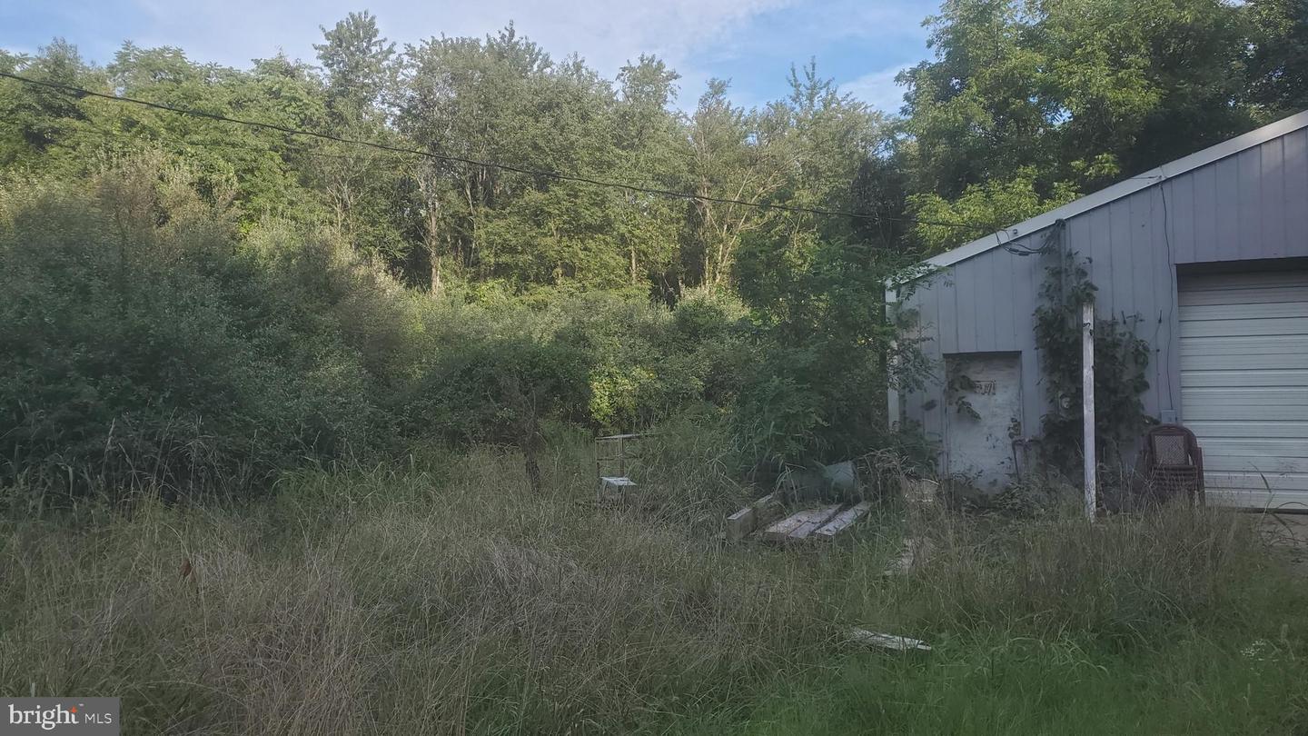 PRIVATE LN, BERRYVILLE, Virginia 22611, ,Land,For sale,PRIVATE LN,VACL2003596 MLS # VACL2003596