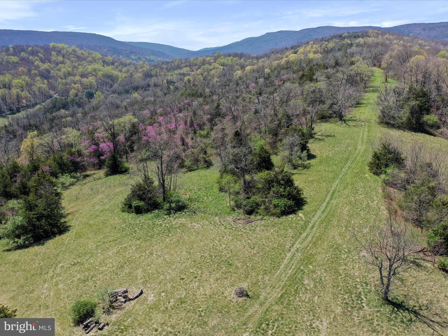 1639 SUGAR HILL RD, MAURERTOWN, Virginia 22644, 4 Bedrooms Bedrooms, ,3 BathroomsBathrooms,Residential,For sale,1639 SUGAR HILL RD,VASH2011156 MLS # VASH2011156