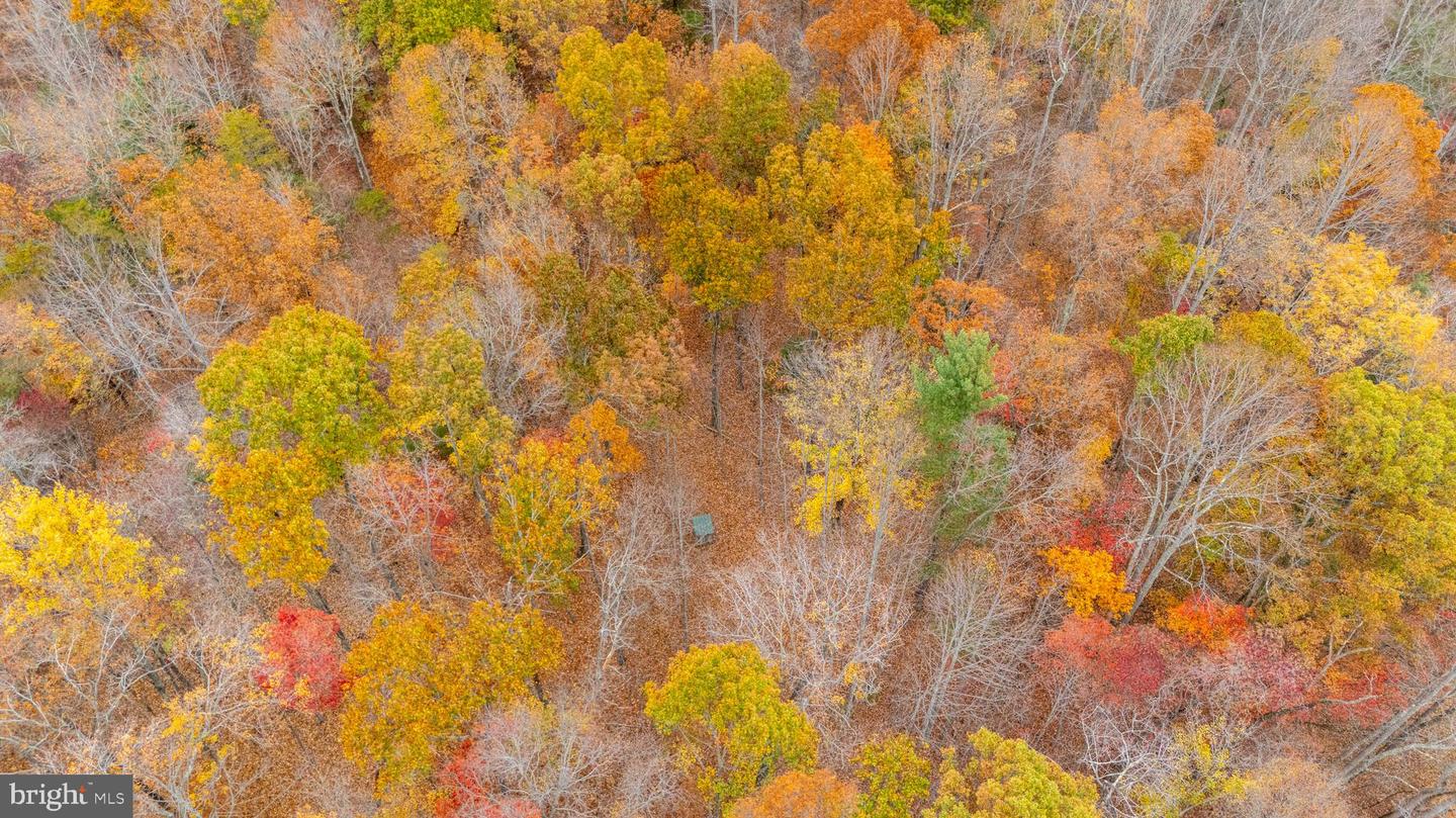 LOT 8F FLINTLOCK TRL, MONROE, Virginia 24574, ,Land,For sale,LOT 8F FLINTLOCK TRL,VAAH2000068 MLS # VAAH2000068