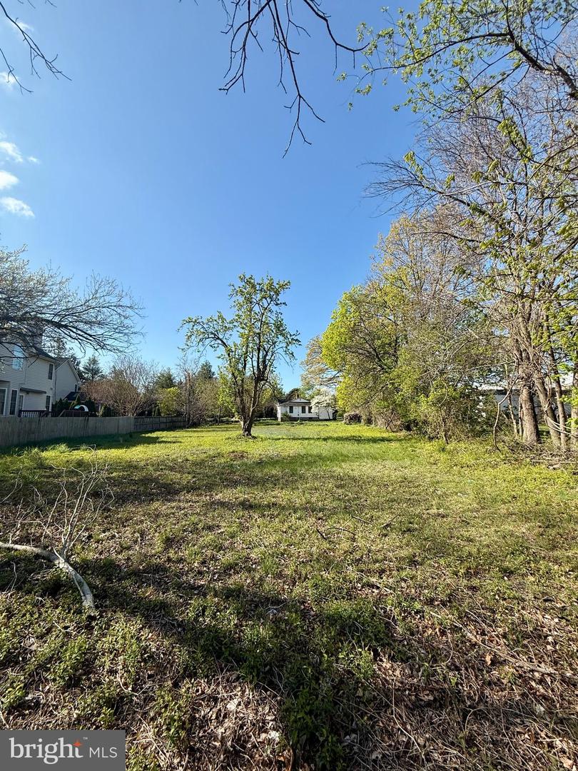 5941 4TH ST S, ARLINGTON, Virginia 22204, 2 Bedrooms Bedrooms, ,1 BathroomBathrooms,Residential,For sale,5941 4TH ST S,VAAR2056078 MLS # VAAR2056078