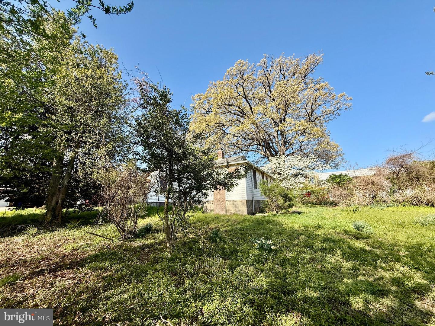 5941 4TH ST S, ARLINGTON, Virginia 22204, 2 Bedrooms Bedrooms, ,1 BathroomBathrooms,Residential,For sale,5941 4TH ST S,VAAR2056078 MLS # VAAR2056078