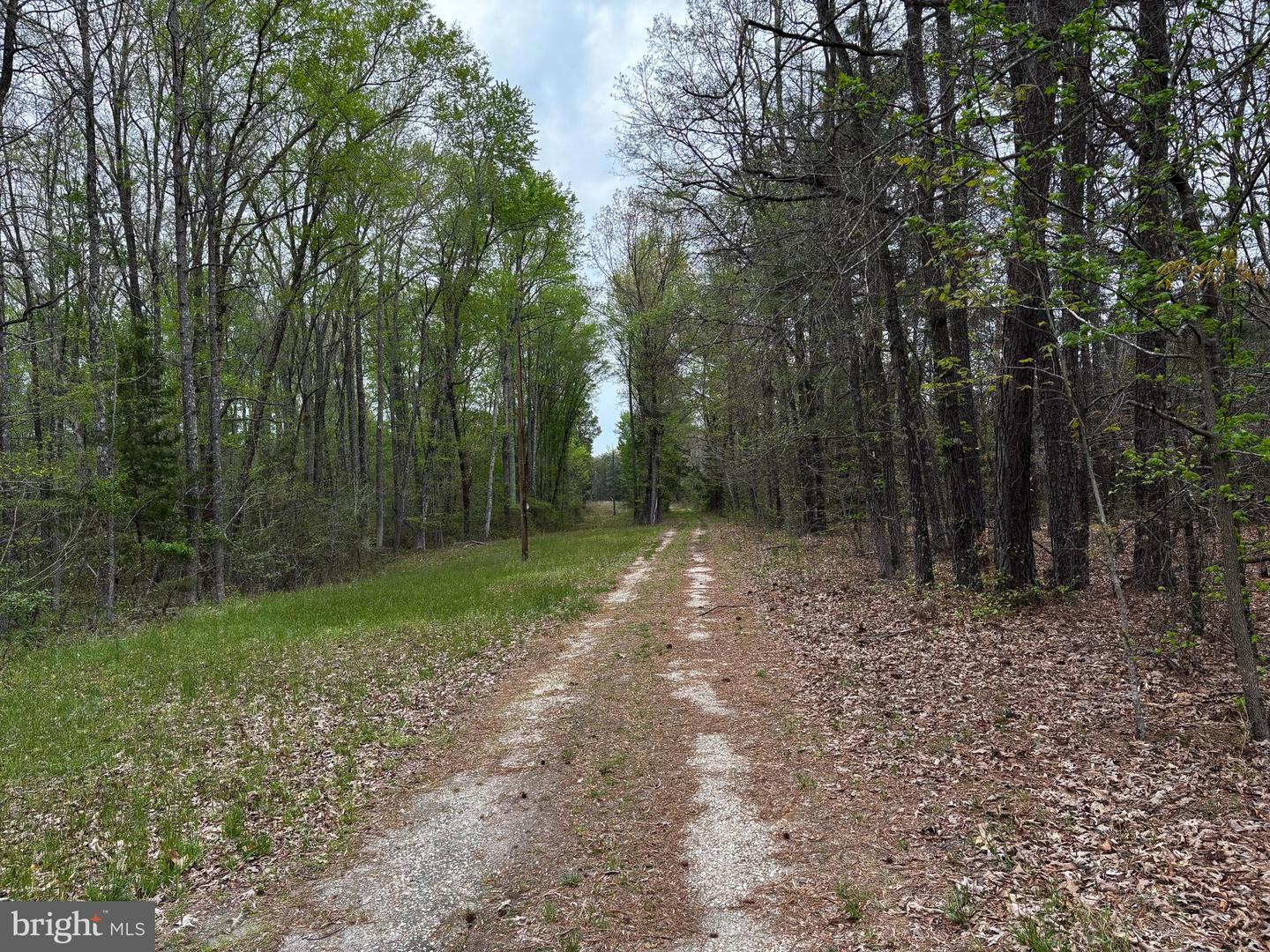 0 PAIGE RD, WOODFORD, Virginia 22580, ,Farm,For sale,0 PAIGE RD,VACV2007992 MLS # VACV2007992
