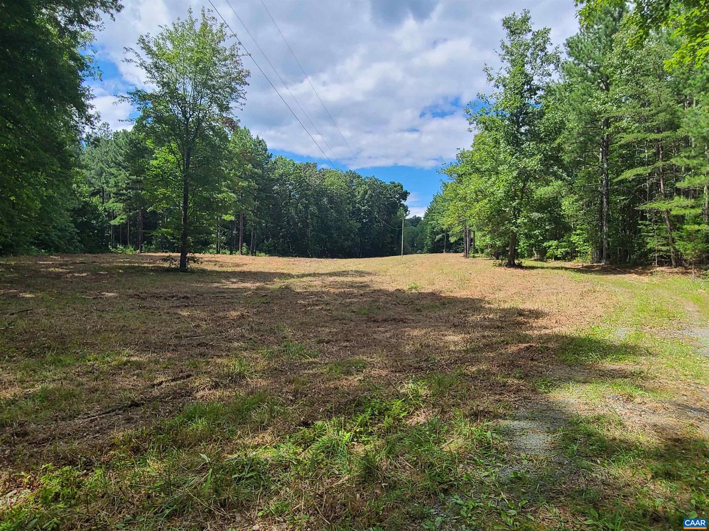 000 MT ALTO RD, ESMONT, Virginia 22937, ,Land,For sale,000 MT ALTO RD,663287 MLS # 663287