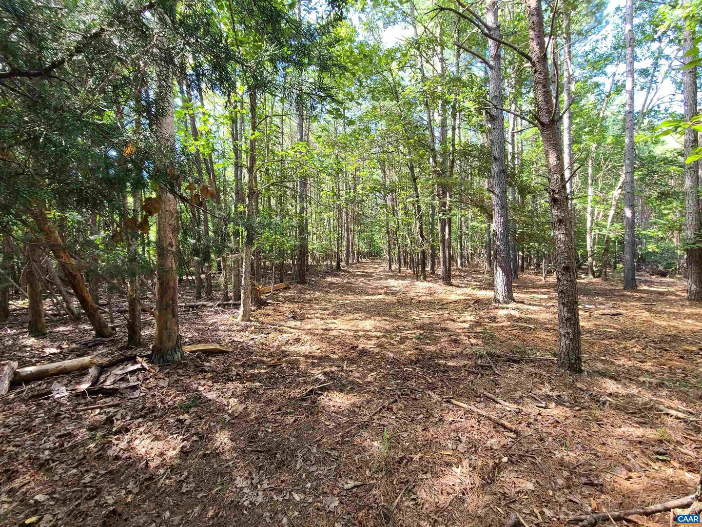 000 MT ALTO RD, ESMONT, Virginia 22937, ,Land,For sale,000 MT ALTO RD,663287 MLS # 663287