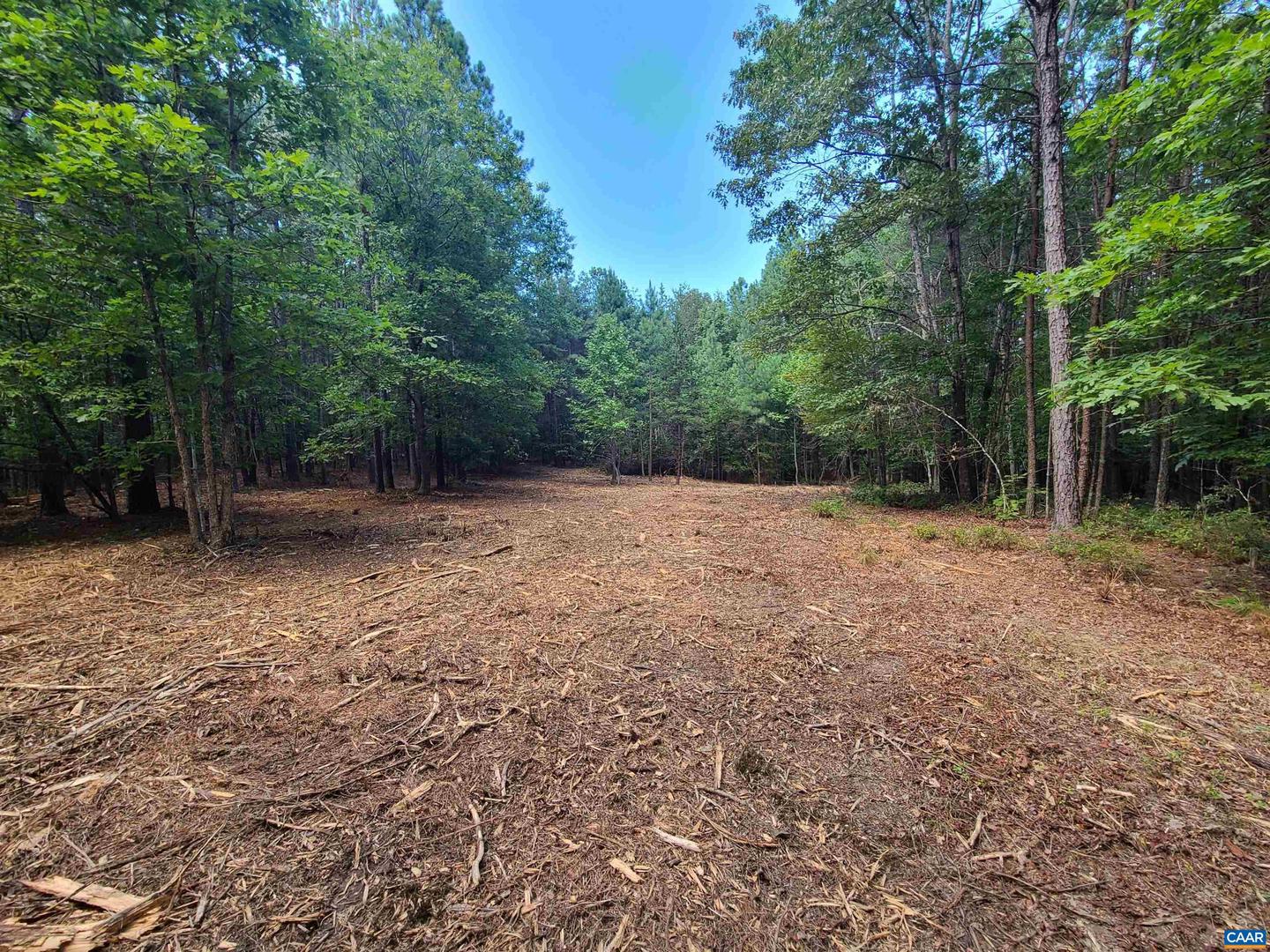 000 MT ALTO RD, ESMONT, Virginia 22937, ,Land,For sale,000 MT ALTO RD,663287 MLS # 663287