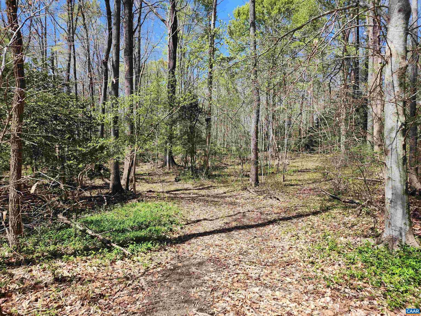 LOT 15B BENT CREEK LN, BUMPASS, Virginia 23024, ,Land,For sale,LOT 15B BENT CREEK LN,663298 MLS # 663298