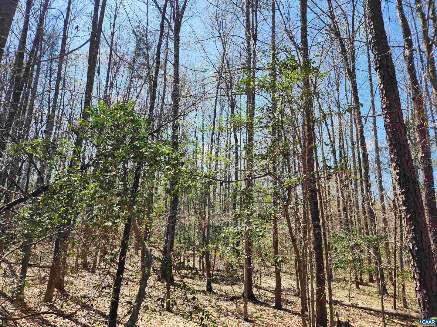 LOT 15B BENT CREEK LN, BUMPASS, Virginia 23024, ,Land,For sale,LOT 15B BENT CREEK LN,663298 MLS # 663298
