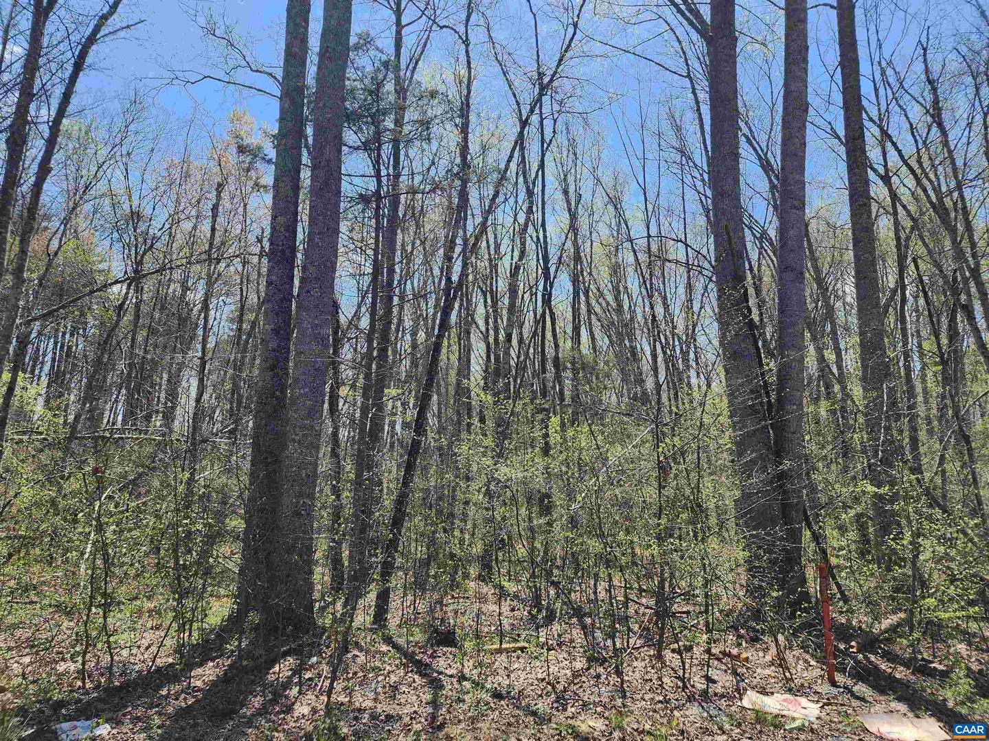 LOT 15B BENT CREEK LN, BUMPASS, Virginia 23024, ,Land,For sale,LOT 15B BENT CREEK LN,663298 MLS # 663298
