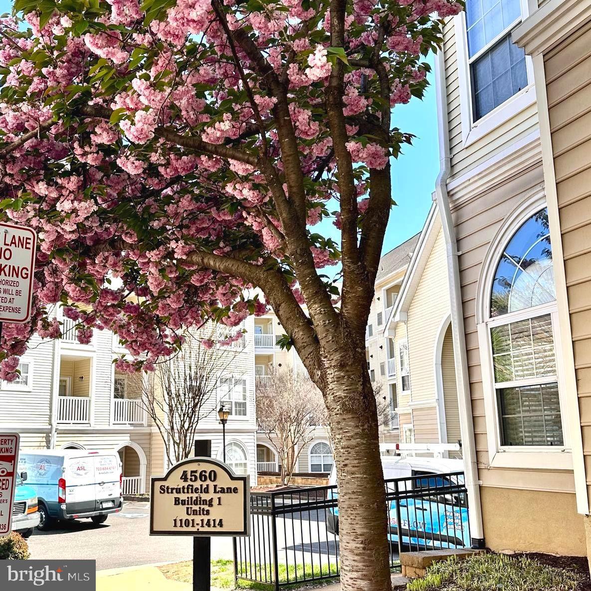 4560 STRUTFIELD LN #1203, ALEXANDRIA, Virginia 22311, 2 Bedrooms Bedrooms, ,2 BathroomsBathrooms,Residential,For sale,4560 STRUTFIELD LN #1203,VAAX2042324 MLS # VAAX2042324