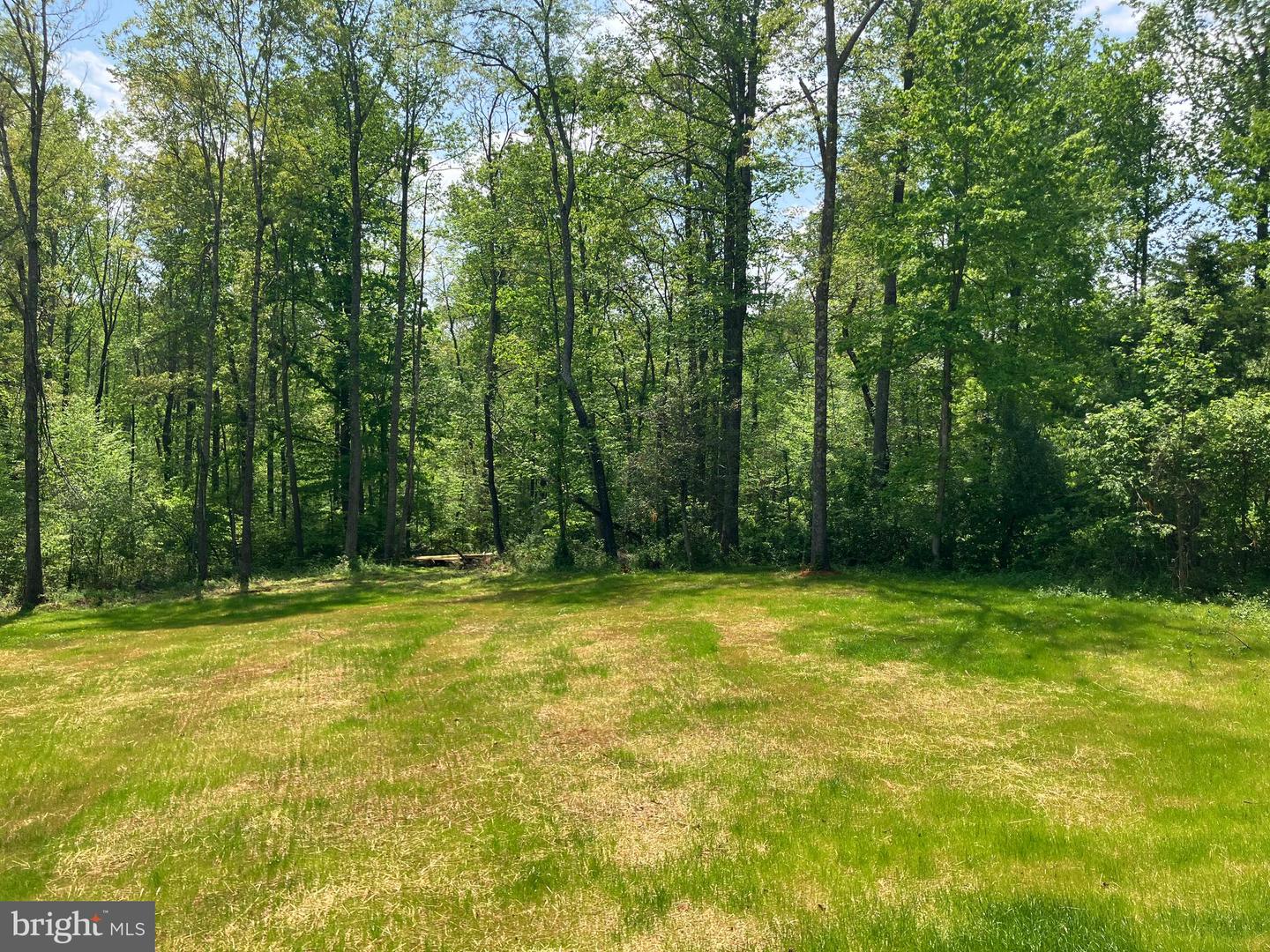14400 REVA RD, REVA, Virginia 22735, 3 Bedrooms Bedrooms, ,2 BathroomsBathrooms,Residential,For sale,14400 REVA RD,VACU2010016 MLS # VACU2010016