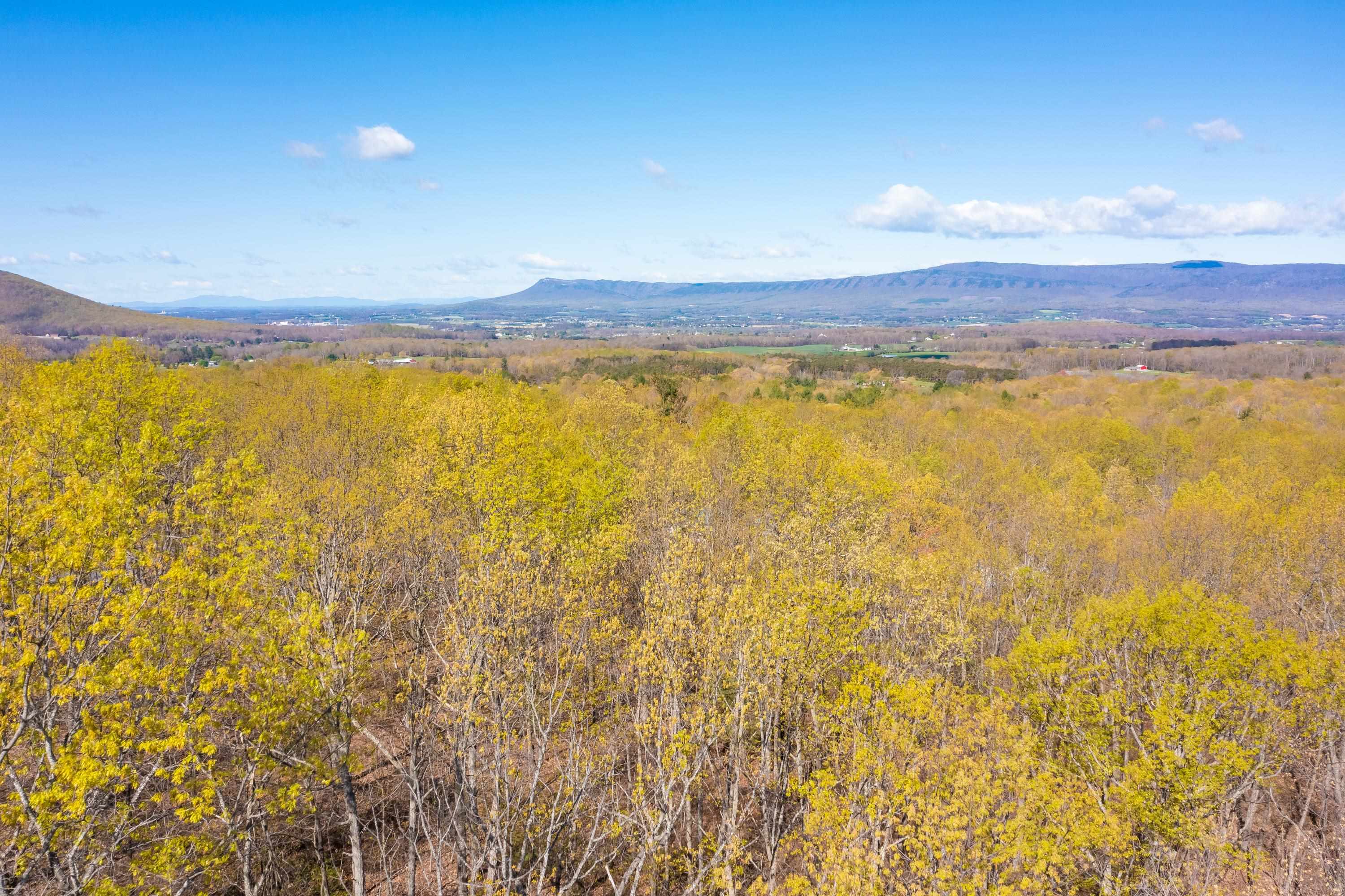 TBD DOVE LANDING DR, ELKTON, Virginia 22827, ,Land,TBD DOVE LANDING DR,663308 MLS # 663308