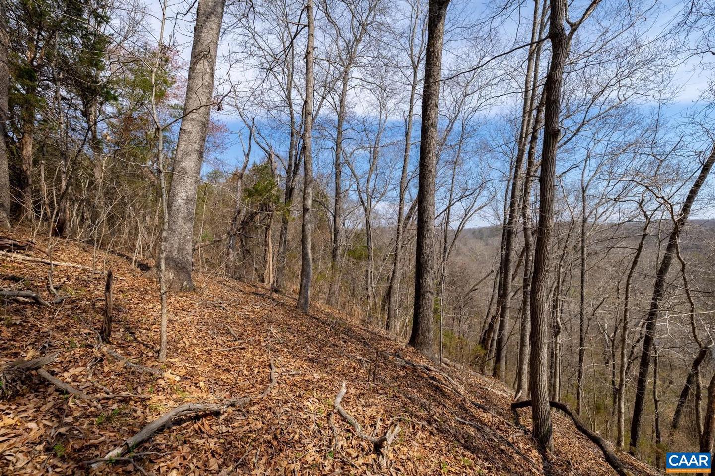 1280 JONES OVERLOOK #53, HOWARDSVILLE, Virginia 24562, ,Land,For sale,1280 JONES OVERLOOK #53,663318 MLS # 663318