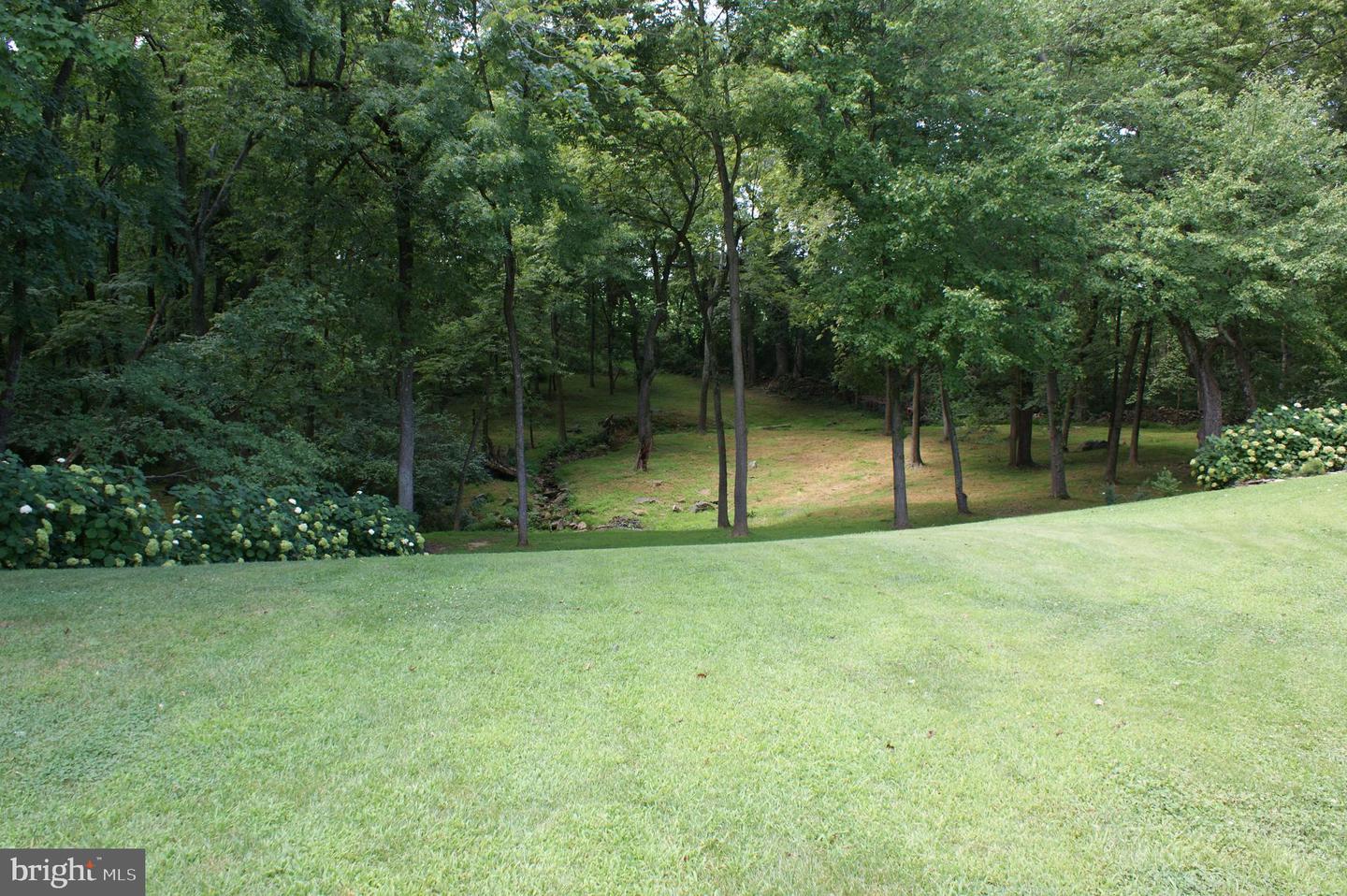 22915 COBB HOUSE RD, MIDDLEBURG, Virginia 20117, 7 Bedrooms Bedrooms, ,8 BathroomsBathrooms,Residential,For sale,22915 COBB HOUSE RD,VALO2092392 MLS # VALO2092392
