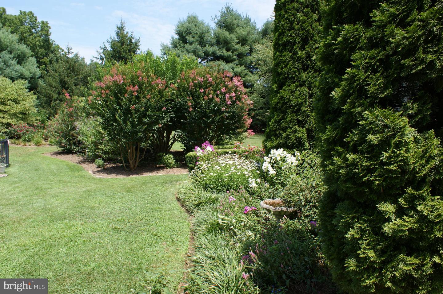 22915 COBB HOUSE RD, MIDDLEBURG, Virginia 20117, 7 Bedrooms Bedrooms, ,8 BathroomsBathrooms,Residential,For sale,22915 COBB HOUSE RD,VALO2092392 MLS # VALO2092392