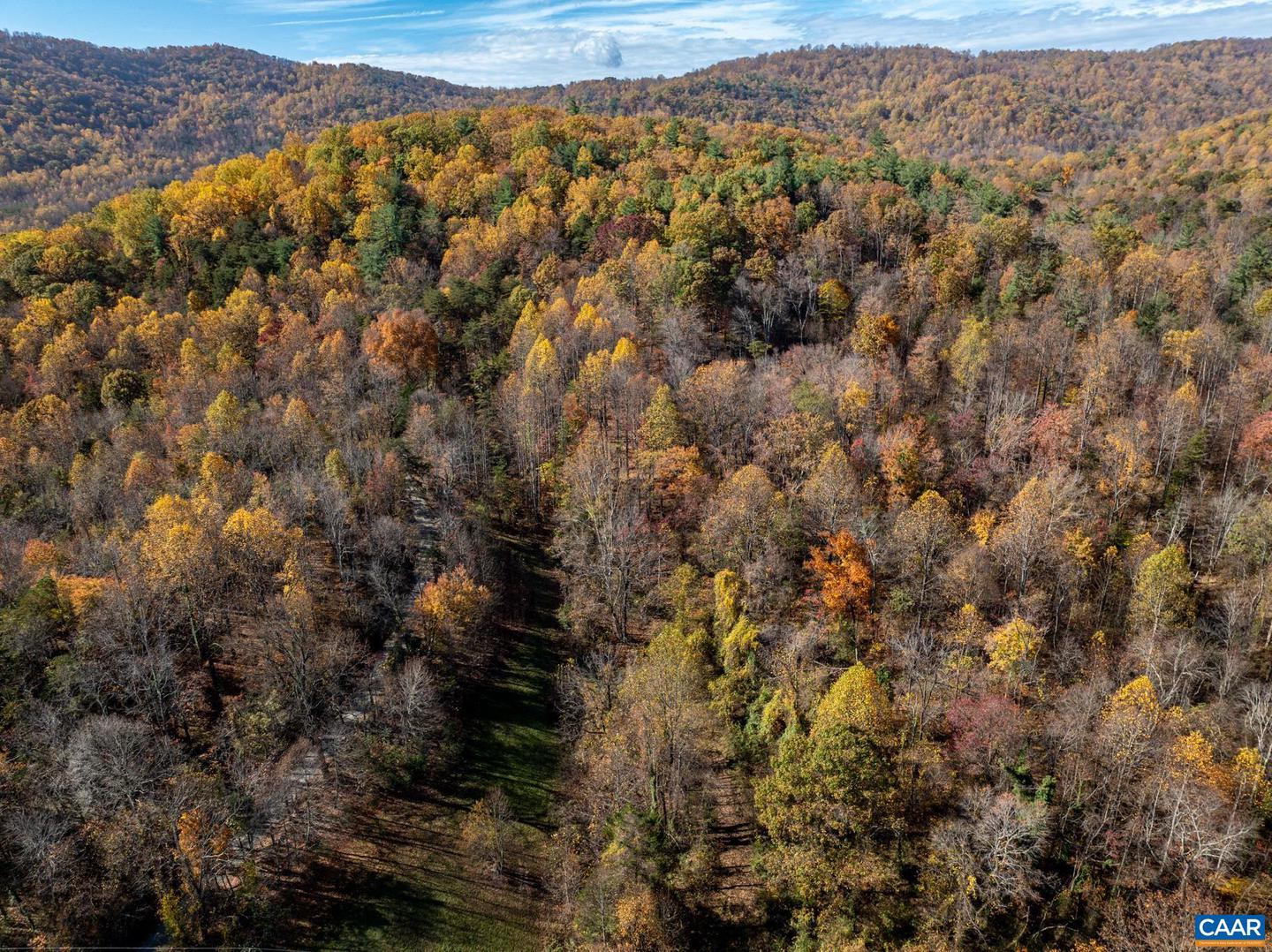 2940 BROKENBACK MOUNTAIN RD, DYKE, Virginia 22935, ,Land,For sale,2940 BROKENBACK MOUNTAIN RD,661741 MLS # 661741