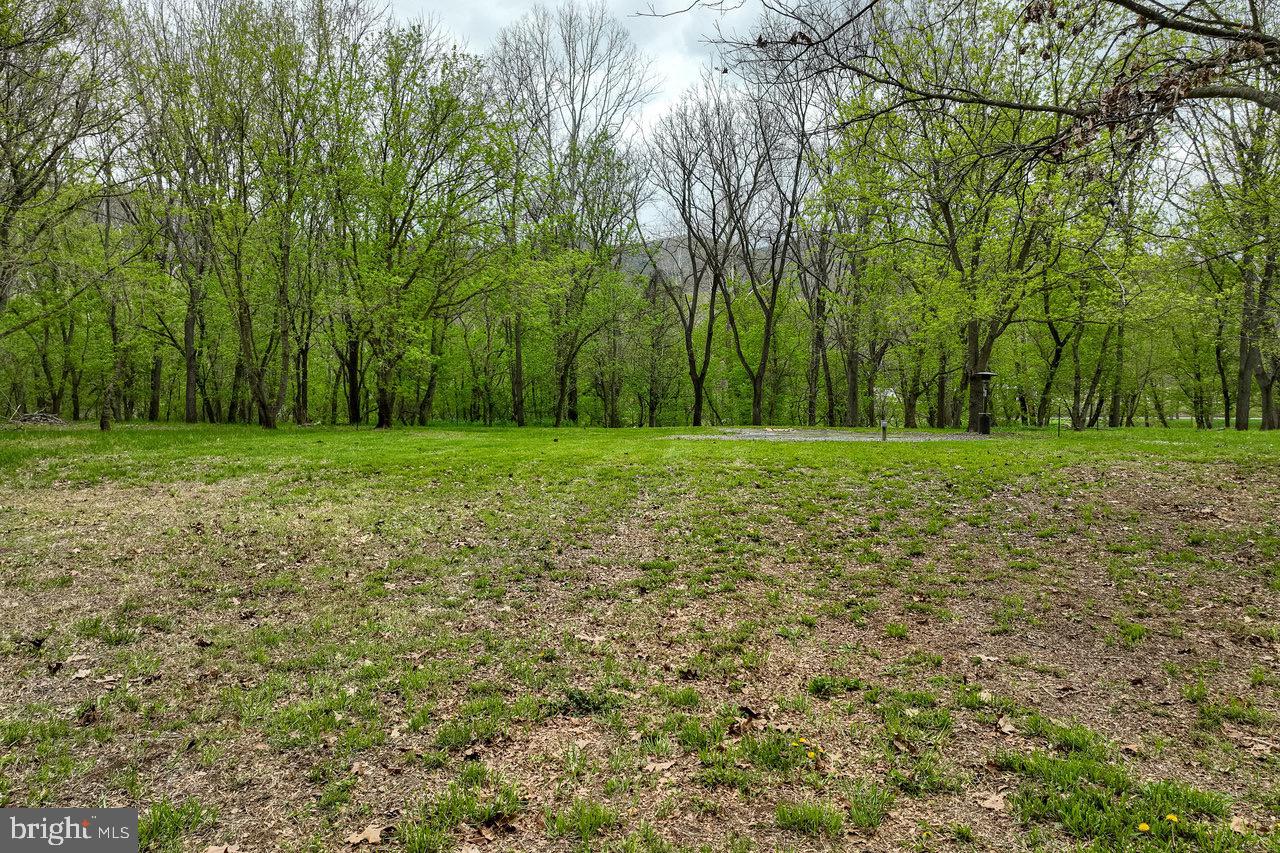 TBD RIVER VIEW ROAD, SHENANDOAH, Virginia 22849, ,Land,For sale,TBD RIVER VIEW ROAD,VAPA2004804 MLS # VAPA2004804