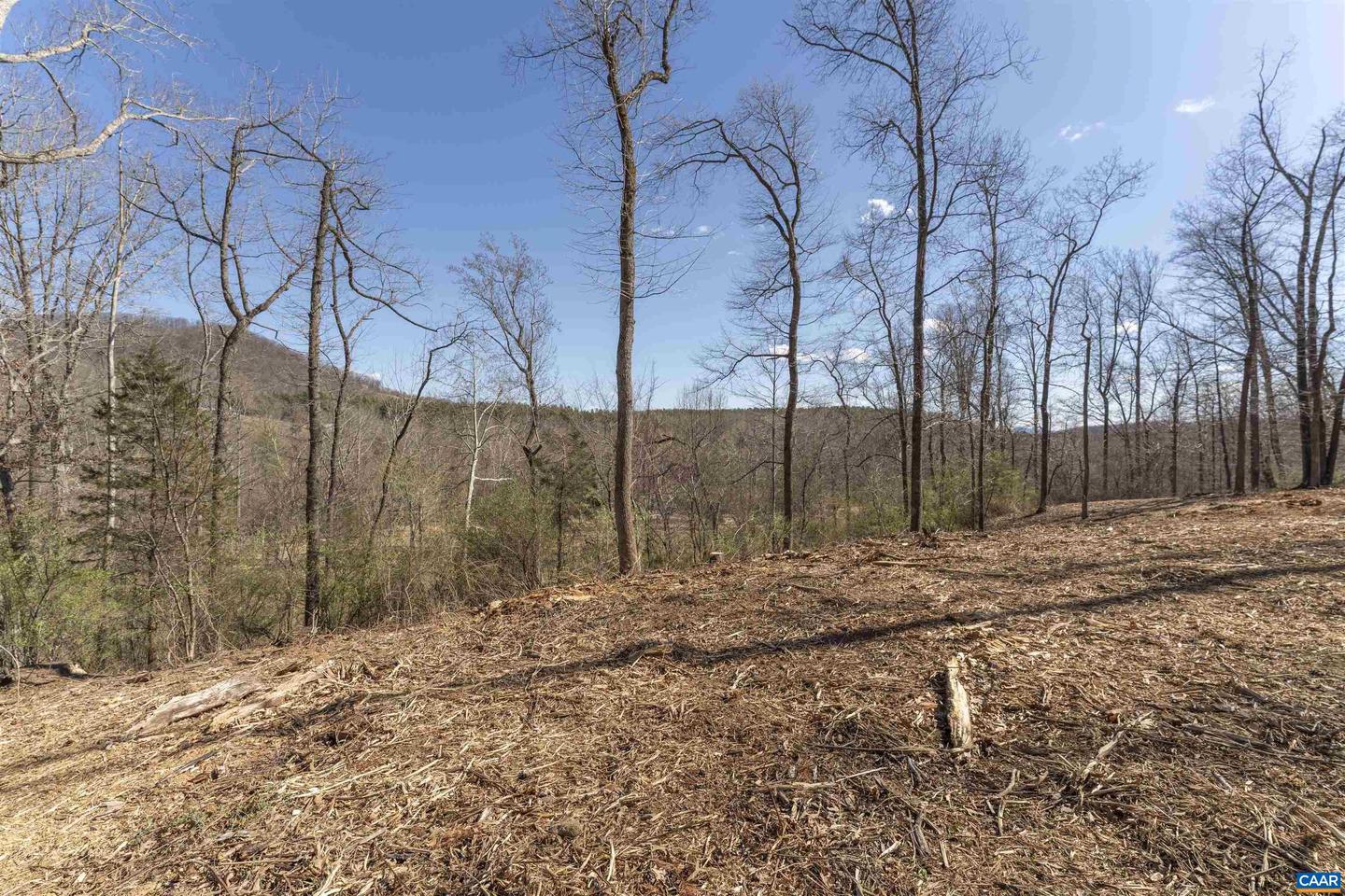 LOT 3 ROCKFISH VALLEY HWY #3, AFTON, Virginia 22920, ,Land,For sale,LOT 3 ROCKFISH VALLEY HWY #3,663369 MLS # 663369