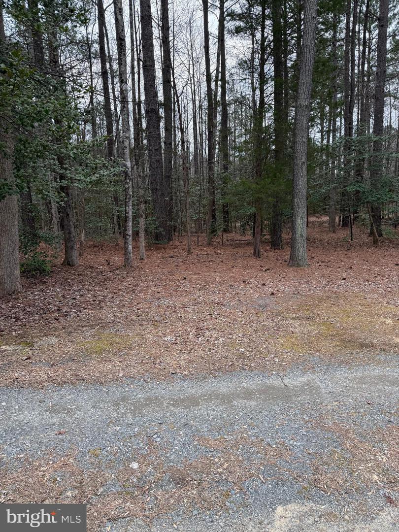 256 PIERCE CREEK LANDING, MONTROSS, Virginia 22520, 3 Bedrooms Bedrooms, ,2 BathroomsBathrooms,Residential,For sale,256 PIERCE CREEK LANDING,VAWE2008332 MLS # VAWE2008332
