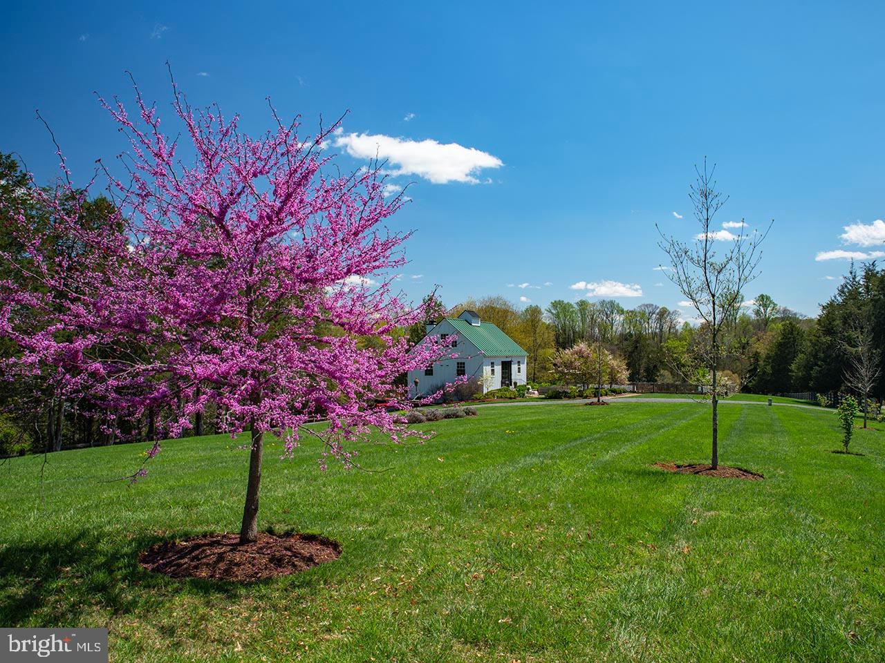 435 & 723 LARKINS MILL LN, BRIGHTWOOD, Virginia 22715, 3 Bedrooms Bedrooms, ,2 BathroomsBathrooms,Residential,For sale,435 & 723 LARKINS MILL LN,VAMA2002178 MLS # VAMA2002178