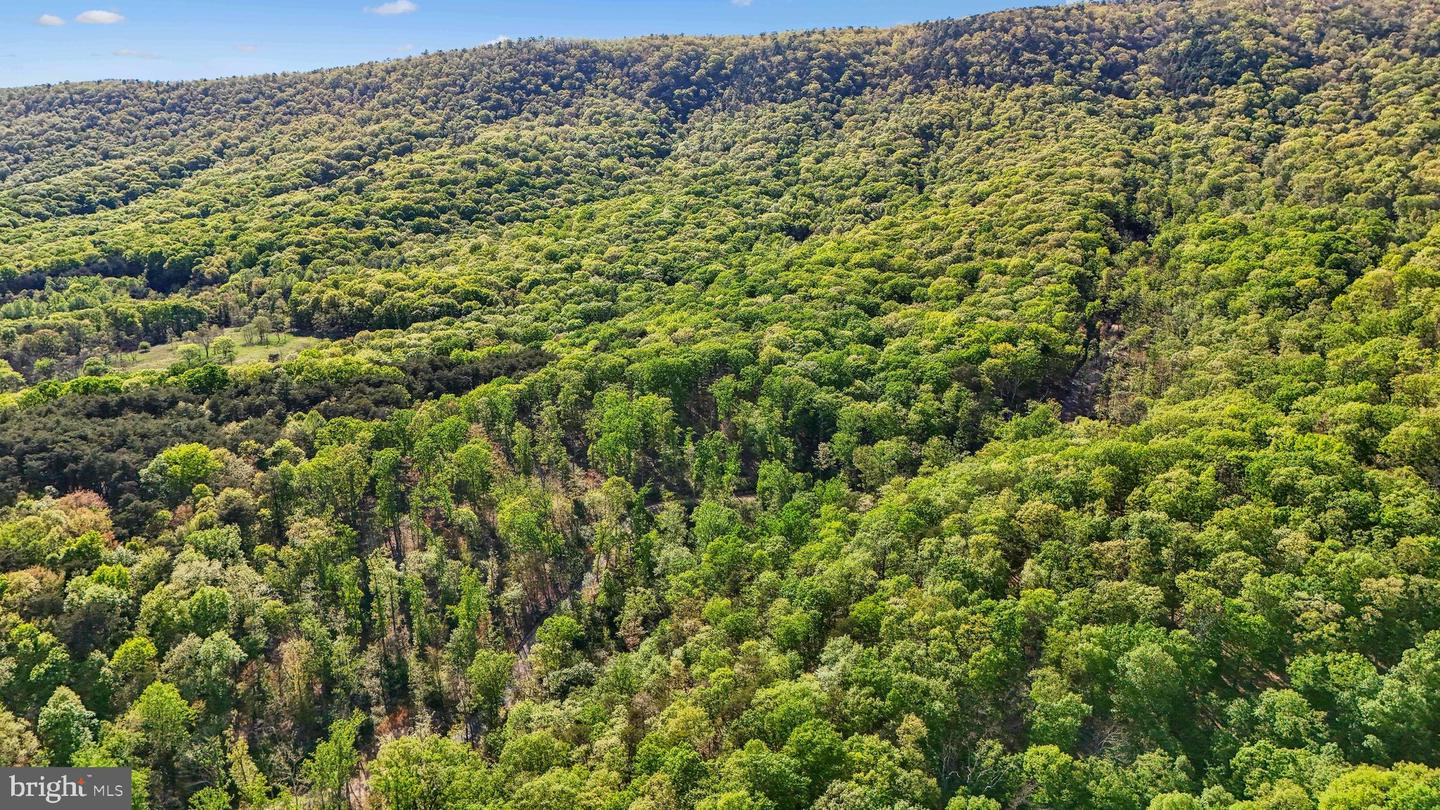 US HWY 340 GALLOWAY SPRINGS, STANLEY, Virginia 22851, ,Land,For sale,US HWY 340 GALLOWAY SPRINGS,VAPA2004776 MLS # VAPA2004776
