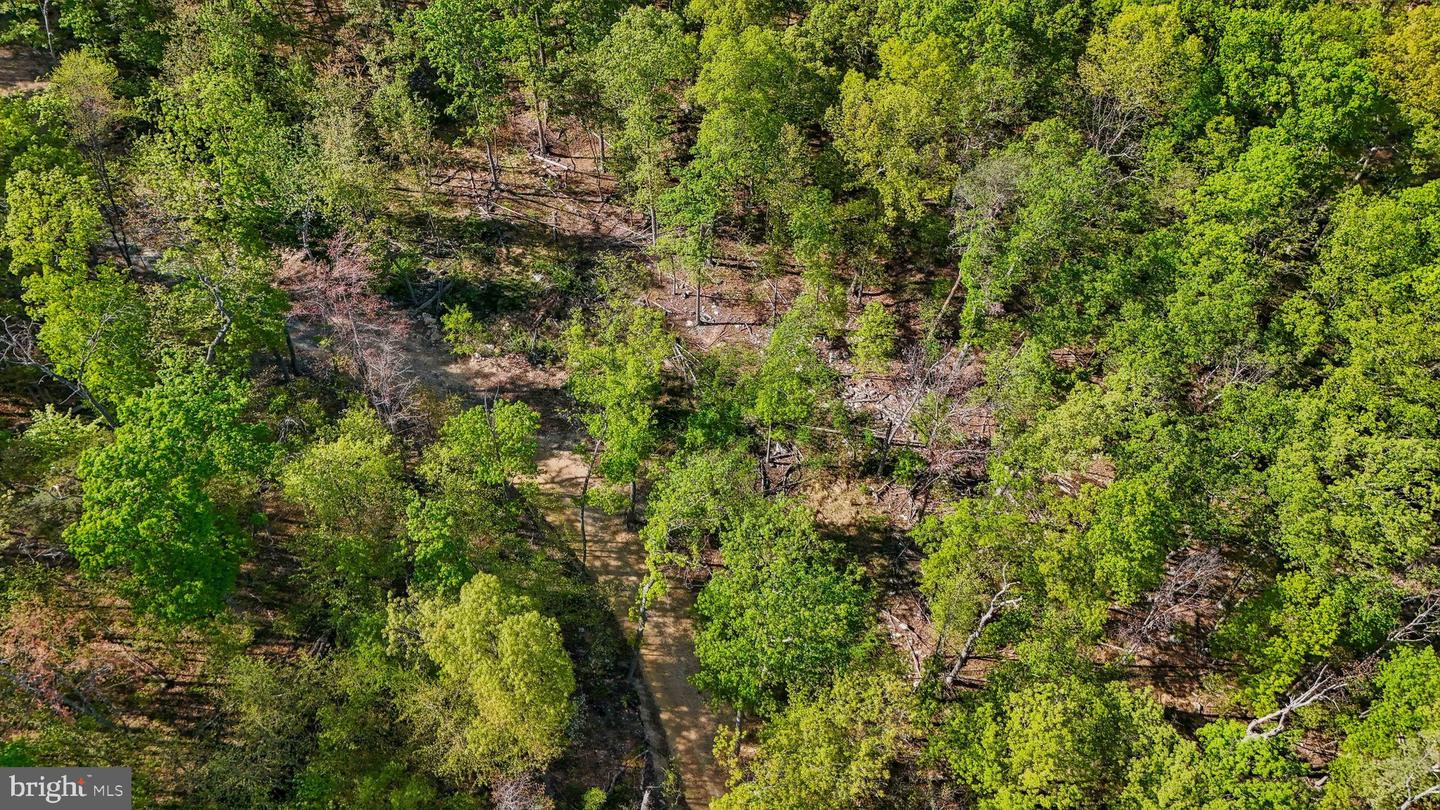 US HWY 340 GALLOWAY SPRINGS, STANLEY, Virginia 22851, ,Land,For sale,US HWY 340 GALLOWAY SPRINGS,VAPA2004776 MLS # VAPA2004776
