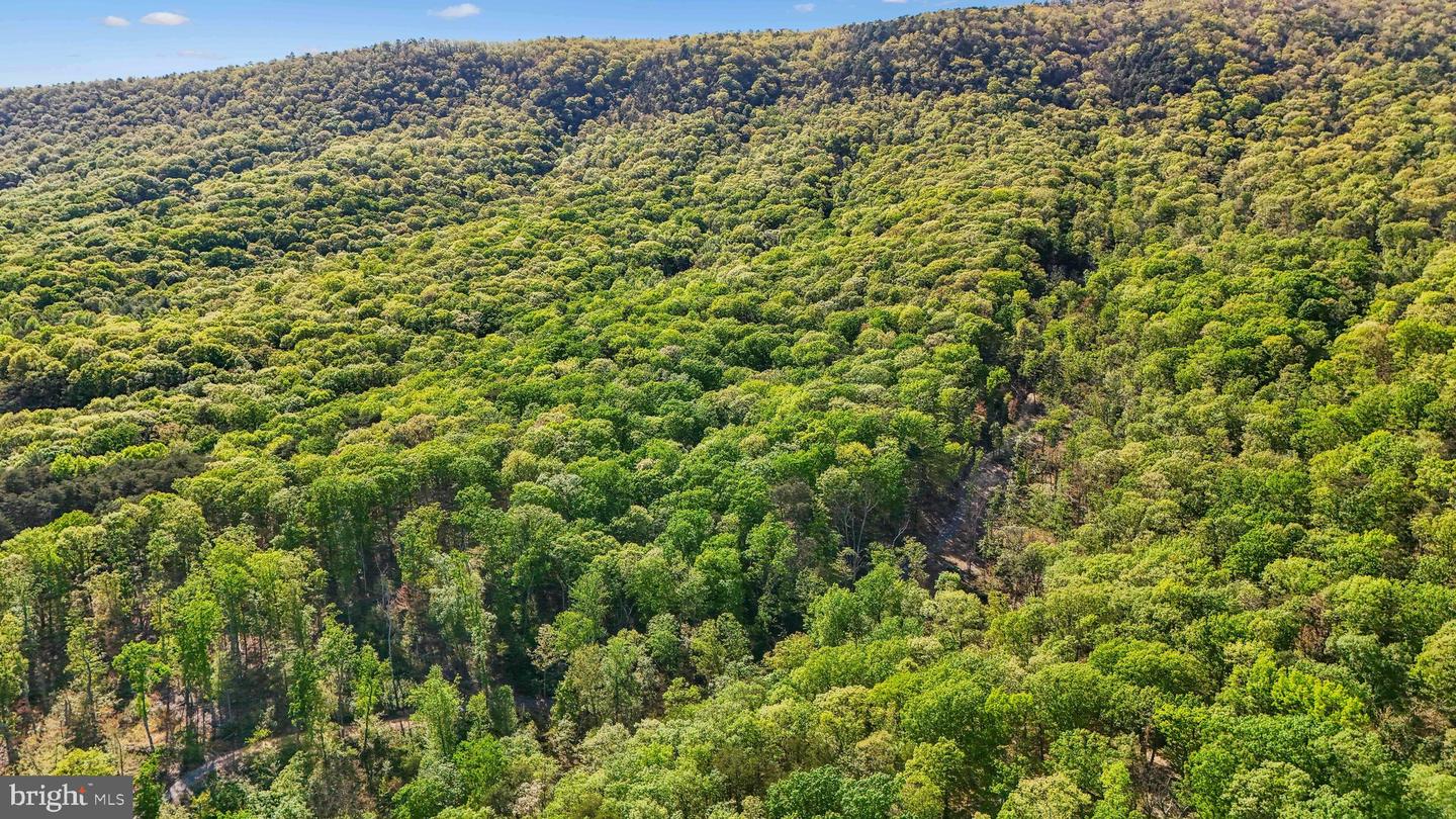 US HWY 340 GALLOWAY SPRINGS, STANLEY, Virginia 22851, ,Land,For sale,US HWY 340 GALLOWAY SPRINGS,VAPA2004776 MLS # VAPA2004776