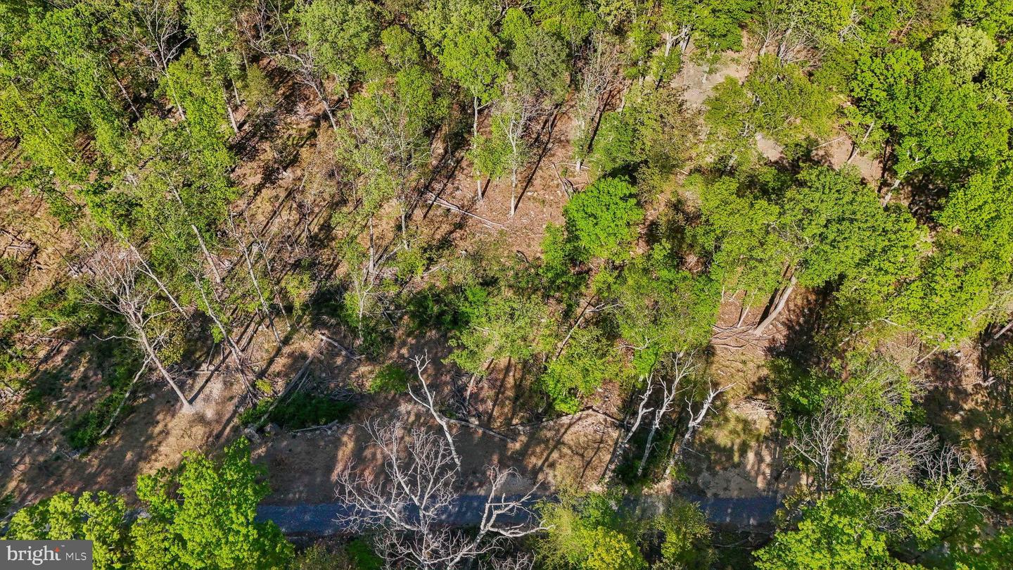 US HWY 340 GALLOWAY SPRINGS, STANLEY, Virginia 22851, ,Land,For sale,US HWY 340 GALLOWAY SPRINGS,VAPA2004776 MLS # VAPA2004776