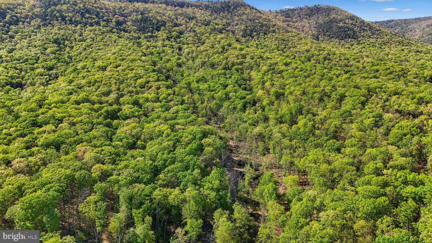 US HWY 340 GALLOWAY SPRINGS, STANLEY, Virginia 22851, ,Land,For sale,US HWY 340 GALLOWAY SPRINGS,VAPA2004776 MLS # VAPA2004776