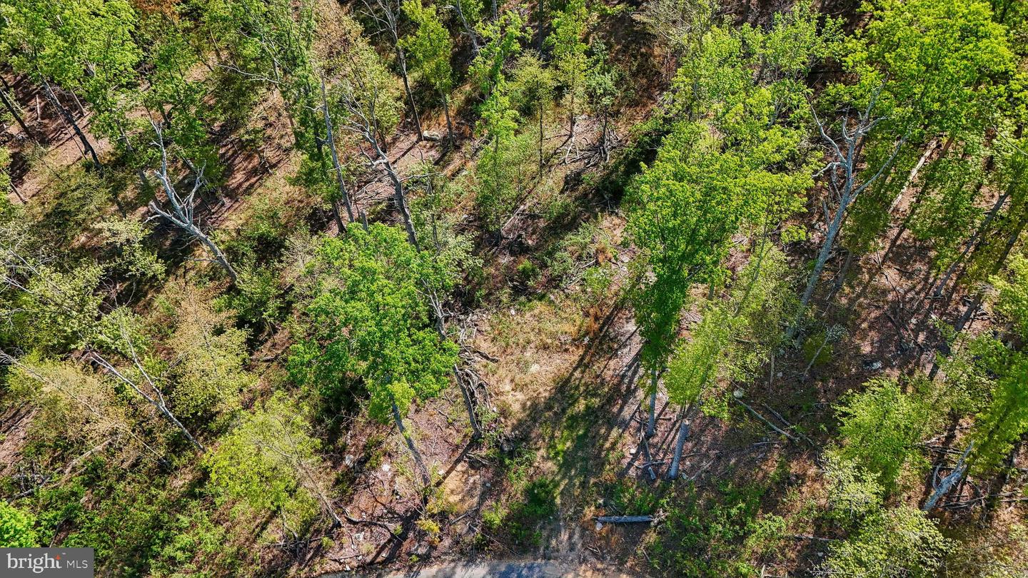 US HWY 340 GALLOWAY SPRINGS, STANLEY, Virginia 22851, ,Land,For sale,US HWY 340 GALLOWAY SPRINGS,VAPA2004776 MLS # VAPA2004776