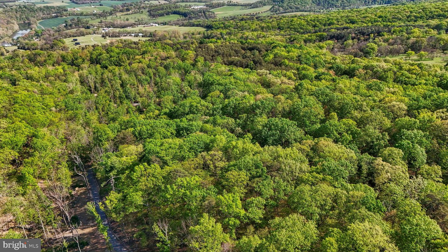 US HWY 340 GALLOWAY SPRINGS, STANLEY, Virginia 22851, ,Land,For sale,US HWY 340 GALLOWAY SPRINGS,VAPA2004776 MLS # VAPA2004776