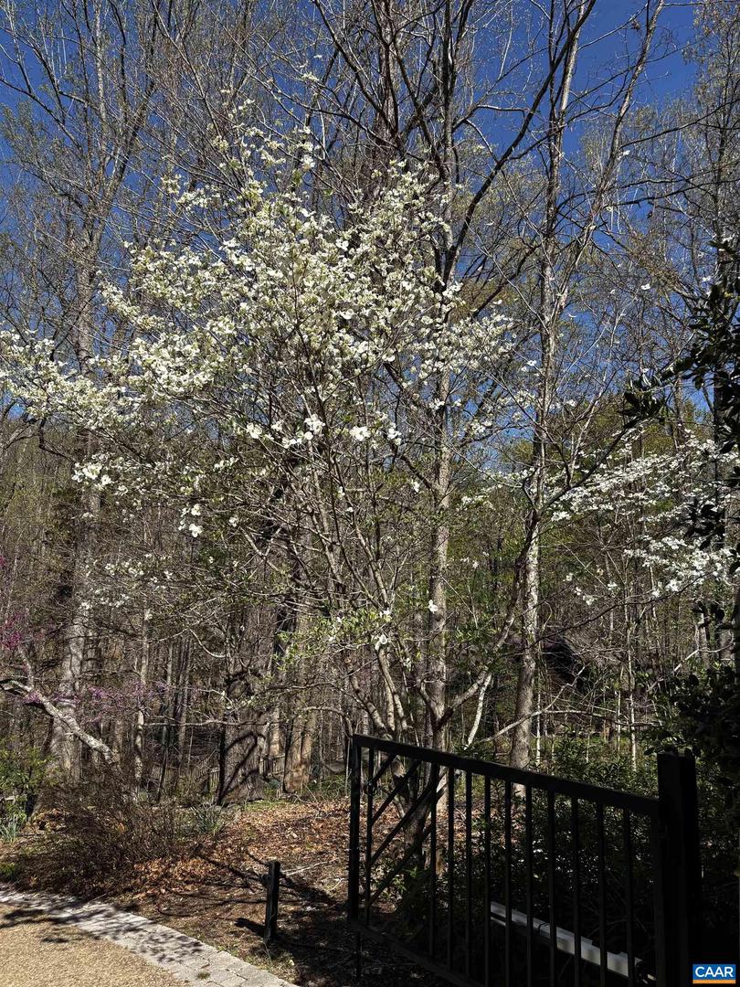 3470 OLD LYNCHBURG RD, NORTH GARDEN, Virginia 22959, 7 Bedrooms Bedrooms, ,4 BathroomsBathrooms,Residential,For sale,3470 OLD LYNCHBURG RD,663188 MLS # 663188