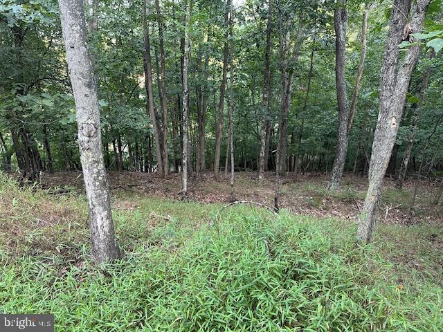 132 FOREST DR, CROSS JUNCTION, Virginia 22625, ,Land,For sale,132 FOREST DR,VAFV2033524 MLS # VAFV2033524