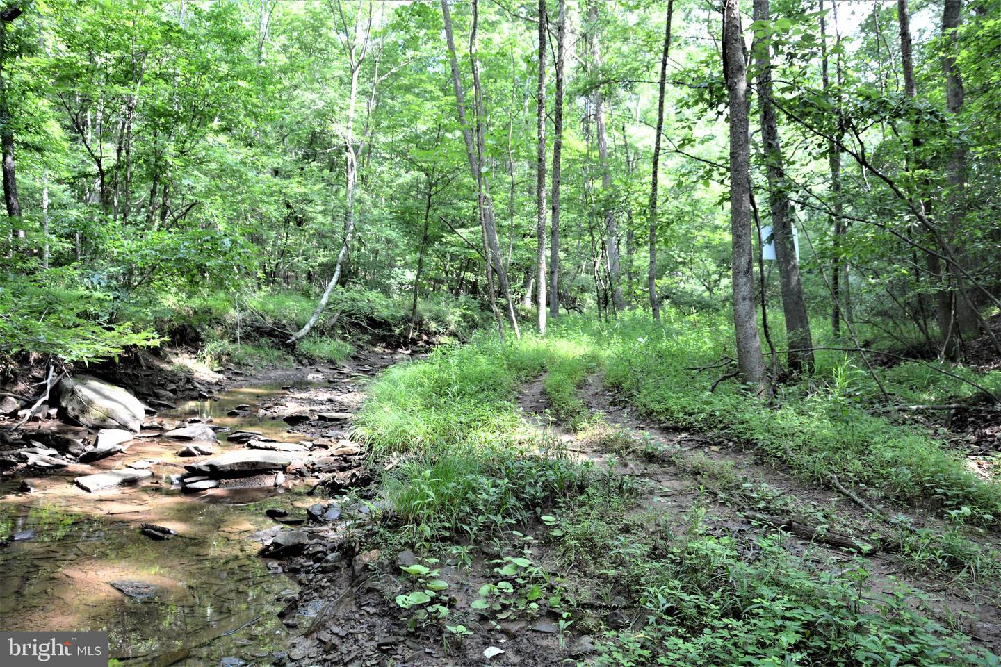 LOT 11-HOOVER MTN PACK HORSE RD, WINCHESTER, Virginia 22603, ,Land,For sale,LOT 11-HOOVER MTN PACK HORSE RD,VAFV2033532 MLS # VAFV2033532