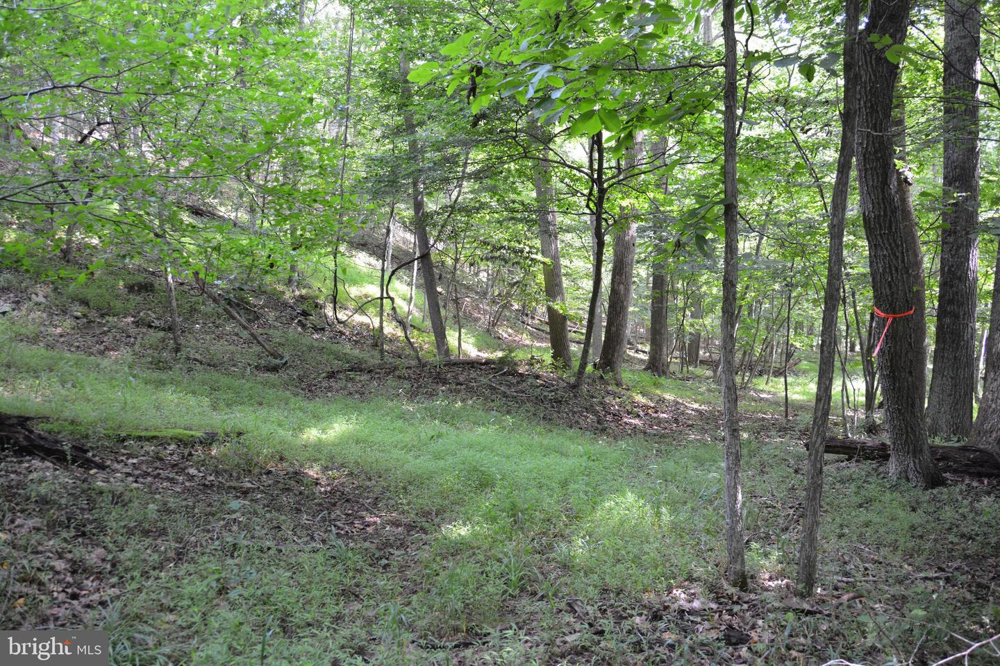 LOT 11-HOOVER MTN PACK HORSE RD, WINCHESTER, Virginia 22603, ,Land,For sale,LOT 11-HOOVER MTN PACK HORSE RD,VAFV2033532 MLS # VAFV2033532