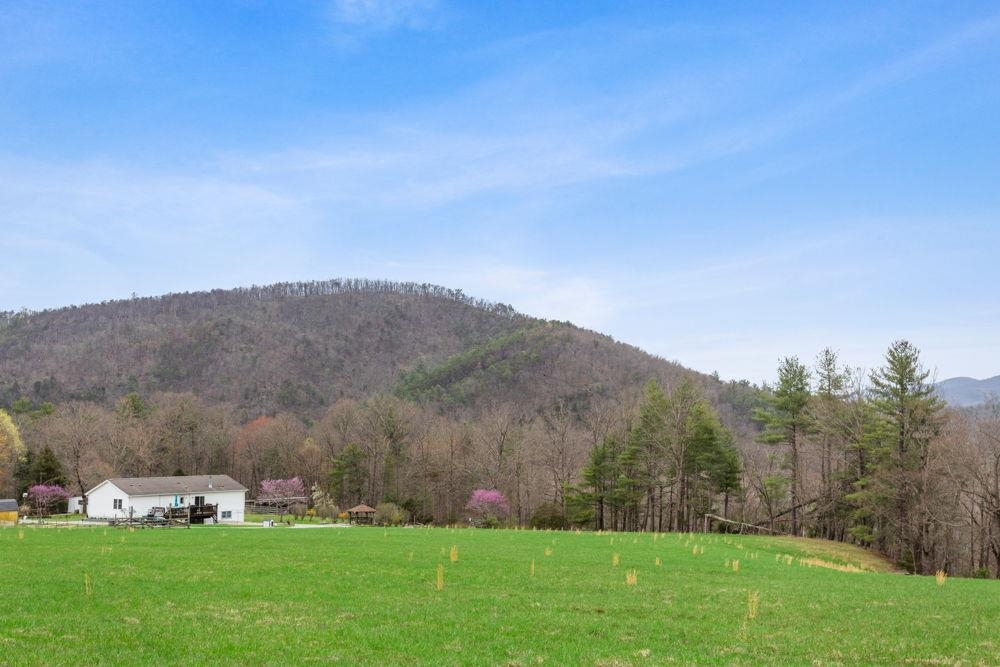 0 BLUE HOLE RD, BERGTON, Virginia 22811, 4 Bedrooms Bedrooms, ,3 BathroomsBathrooms,Residential,0 BLUE HOLE RD,663405 MLS # 663405