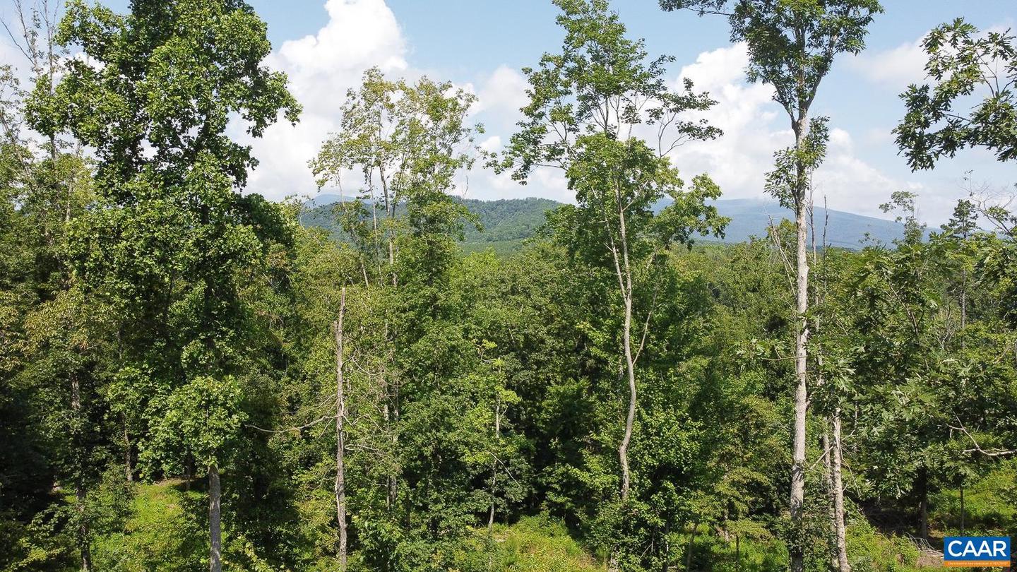 0 ADIAL RD #13, FABER, Virginia 22938, ,Land,For sale,0 ADIAL RD #13,663445 MLS # 663445