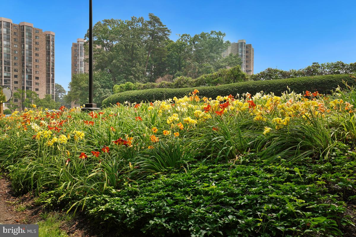 5904 MOUNT EAGLE DR #1105, ALEXANDRIA, Virginia 22303, 2 Bedrooms Bedrooms, 8 Rooms Rooms,2 BathroomsBathrooms,Residential,For sale,5904 MOUNT EAGLE DR #1105,VAFX2235332 MLS # VAFX2235332