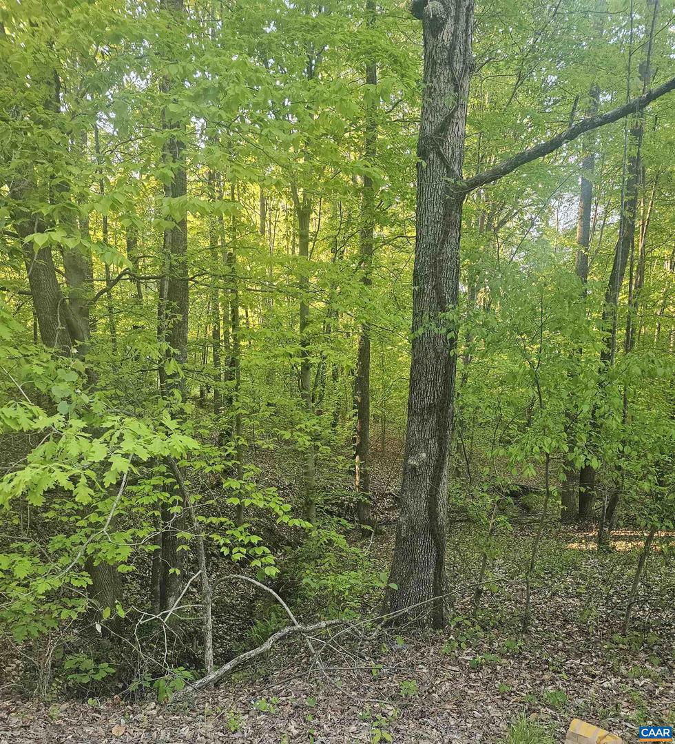 145 DOGWOOD LAKE DR, GORDONSVILLE, Virginia 22942, 3 Bedrooms Bedrooms, ,1 BathroomBathrooms,Residential,For sale,145 DOGWOOD LAKE DR,663448 MLS # 663448