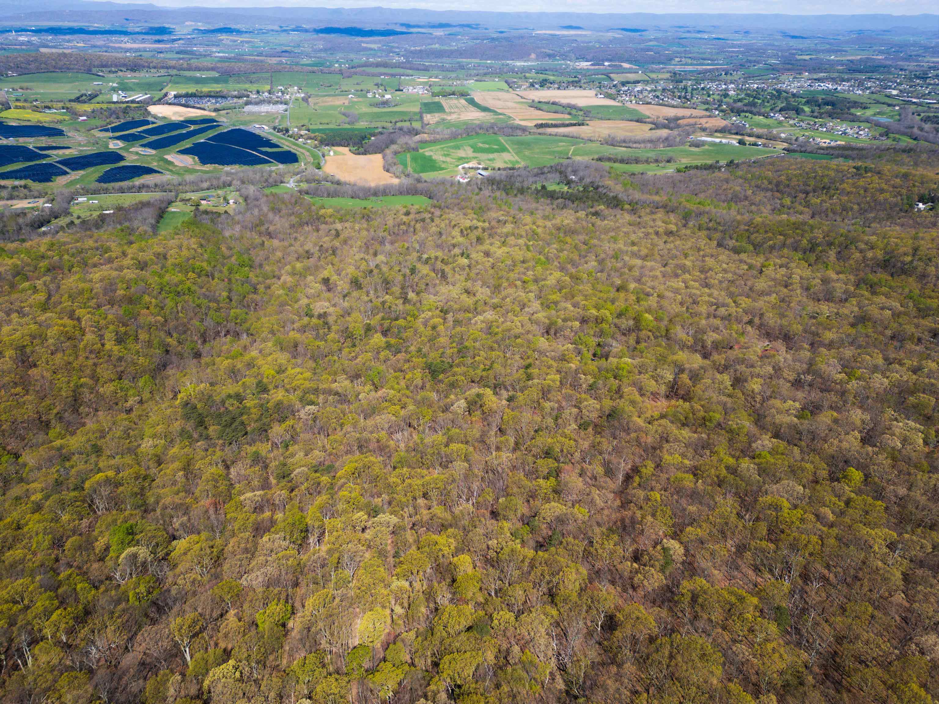 TBS SHOTGUN SPRING RD, NEW MARKET, Virginia 22844, ,Land,TBS SHOTGUN SPRING RD,663462 MLS # 663462