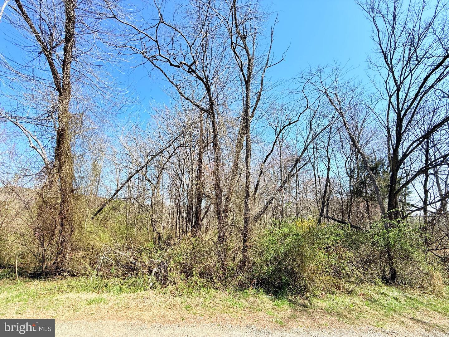 14619 ADEN RD, MANASSAS, Virginia 20112, ,Land,For sale,14619 ADEN RD,VAPW2092580 MLS # VAPW2092580