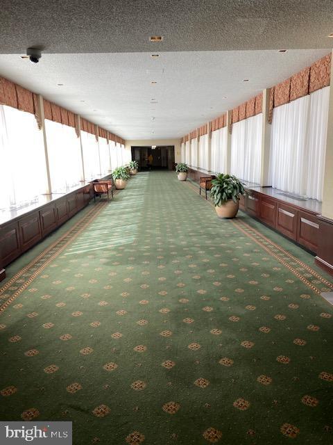 3701 S GEORGE MASON DR #401N, FALLS CHURCH, Virginia 22041, 1 Bedroom Bedrooms, ,1 BathroomBathrooms,Residential,For sale,3701 S GEORGE MASON DR #401N,VAFX2225826 MLS # VAFX2225826