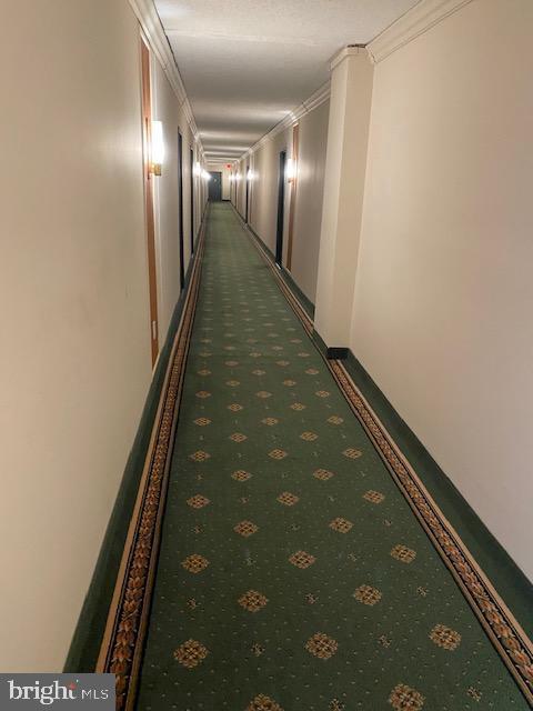 3701 S GEORGE MASON DR #401N, FALLS CHURCH, Virginia 22041, 1 Bedroom Bedrooms, ,1 BathroomBathrooms,Residential,For sale,3701 S GEORGE MASON DR #401N,VAFX2225826 MLS # VAFX2225826