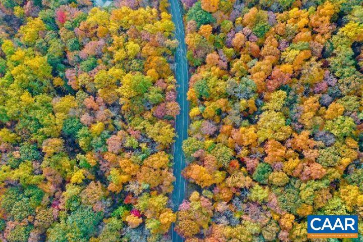 150 SHAMOKIN SPRINGS TRL, WINTERGREEN RESORT, Virginia 22967, ,Land,For sale,150 SHAMOKIN SPRINGS TRL,638845 MLS # 638845