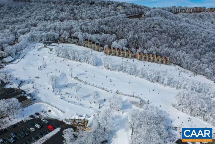 150 SHAMOKIN SPRINGS TRL, WINTERGREEN RESORT, Virginia 22967, ,Land,For sale,150 SHAMOKIN SPRINGS TRL,638845 MLS # 638845