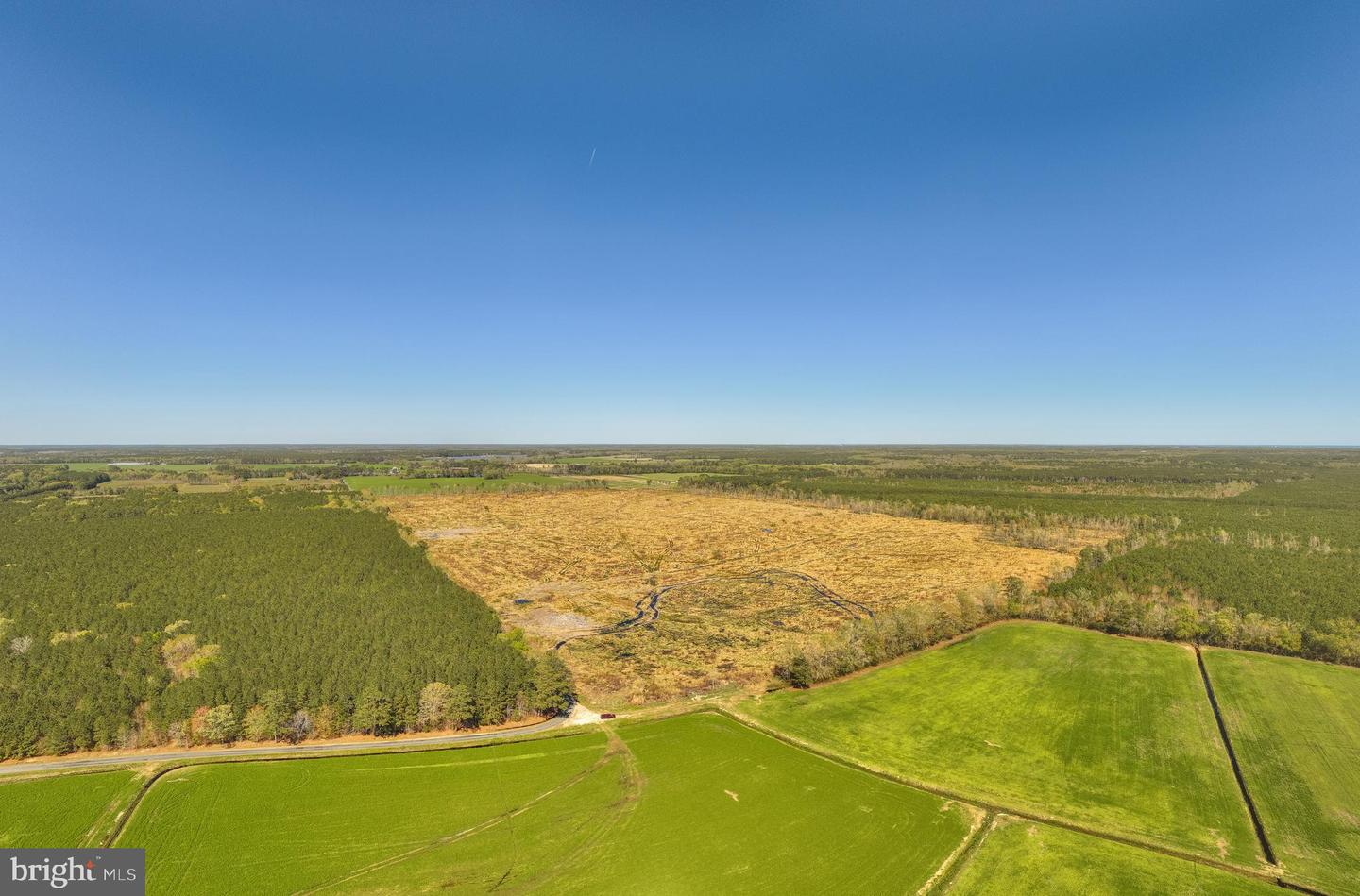 41 SAXIS ROAD, TEMPERANCEVILLE, Virginia 23442, ,Farm,For sale,41 SAXIS ROAD,VAAC2001806 MLS # VAAC2001806